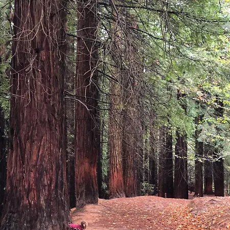 Venkovský dům Candelas - La Canaleja