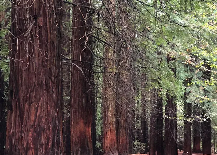 Séjour à la campagne Candelas - La Canaleja